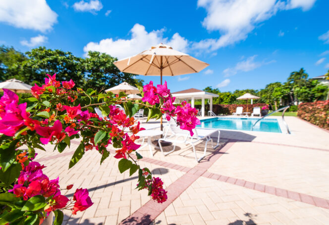 2 Bedroom, 2 Bathroom Apartment image 1