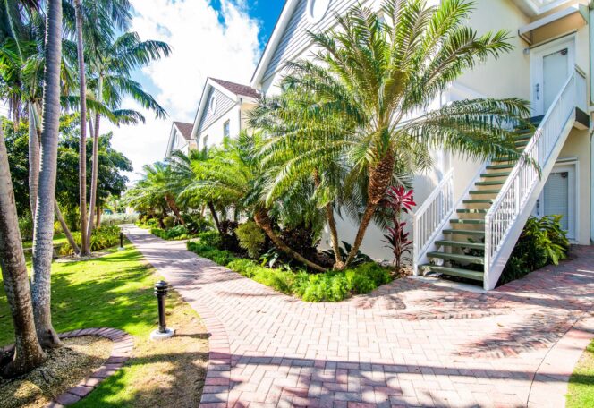 1 Bed, 1 Bath Apartment image 1